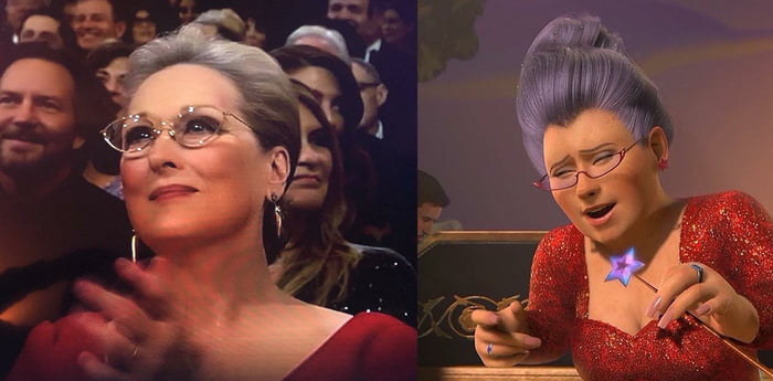 am-i-the-only-one-found-that-meryl-streep-dressed-like-the-fairy-godmother-from-shrek[1]